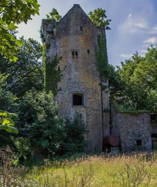 Ballyclough Castle, Ireland